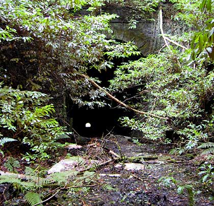 Vegetation is successful in its attempt to hide the south portal.