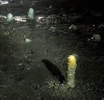 Dumpy stalagmites rise up from the tunnel floor.