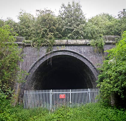 The west portal, slowly being engulfed by vegetation.