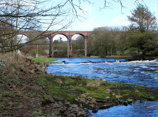 The viaduct's south elevation, viewed from close to the A75 bridge.