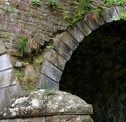 Vegetation has caused the loss of some stonework within one of the spandrels on the west side.