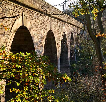 The viaduct recedes into the trees, carressed by foliage.