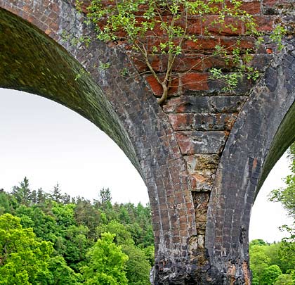Weathering and a sapling's intervention has done little to benefit the stonework condition in one of the north-facing spandrels.