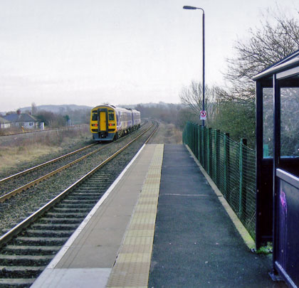 Langley Mill Station today, with the Butterley branch platform in the foliage to the right.