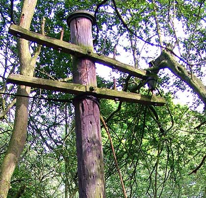 A telegraph pole near Shepshed, still with its metal cap.