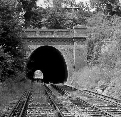 Vegetation was beginning to take hold in August 1964.