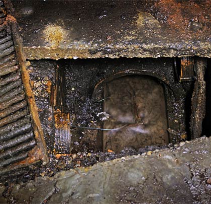 Accessed via catchpits, the overworked drain carries water away along the tunnel's centreline.