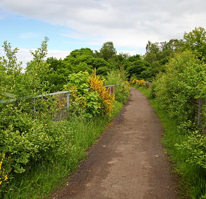 Foliage creates a colourful avenue through which walkers and cyclists pass as they cross the viaduct.