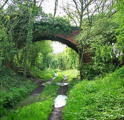Vegetation consumes a farmer's accommodation bridge over the former Charnwood Forest line near Low Woods, Shepshed.