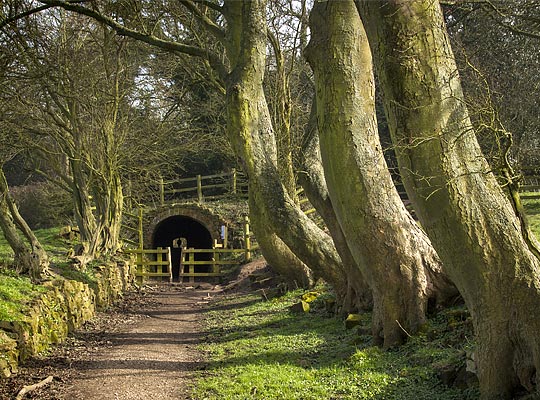 Trees adopt a jaunty angle on the approach the tunnel's minimalist west portal which basically comprises the arch ring face.
