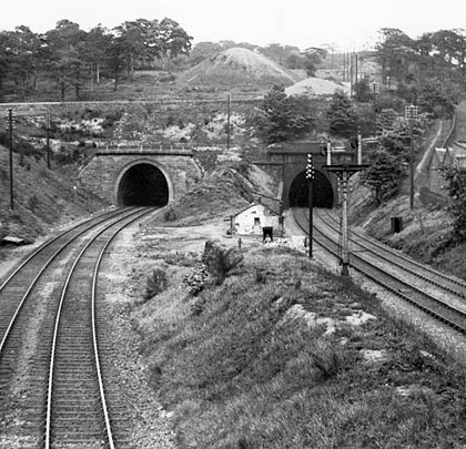 Below their spoil heaps, the original tunnel (right) looks smaller and grubbier compared to its younger brother.