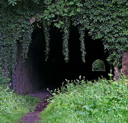 The western portal, choked by foliage.