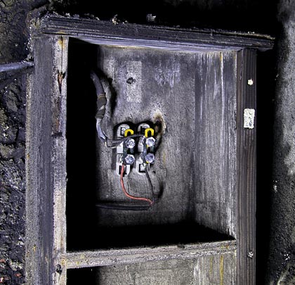 Another refuge hosts a small electrical junction box.