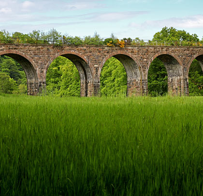 A wheat field is overshadowed by the viaduct's south side.