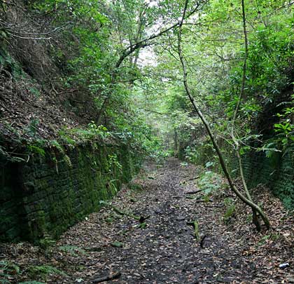 Through the south end of Beaumont Park, the trackbed runs in a cutting with retaining walls.