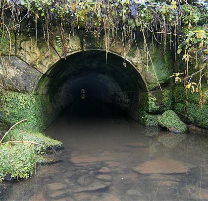 Vegetation takes hold at the culvert's eastern entrance.