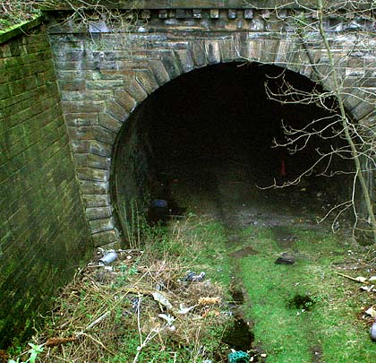 A small but neat portal exposes itself at the tunnel's south end, beyond which the cutting sides are held back by retaining walls.