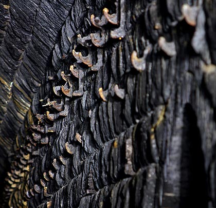 Hundreds of hangers for S&T cables are fixed to the Down-side wall.