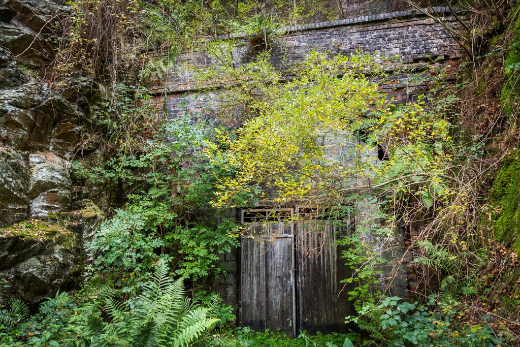 The tunnel's south-west portal is now largely masked by trees.